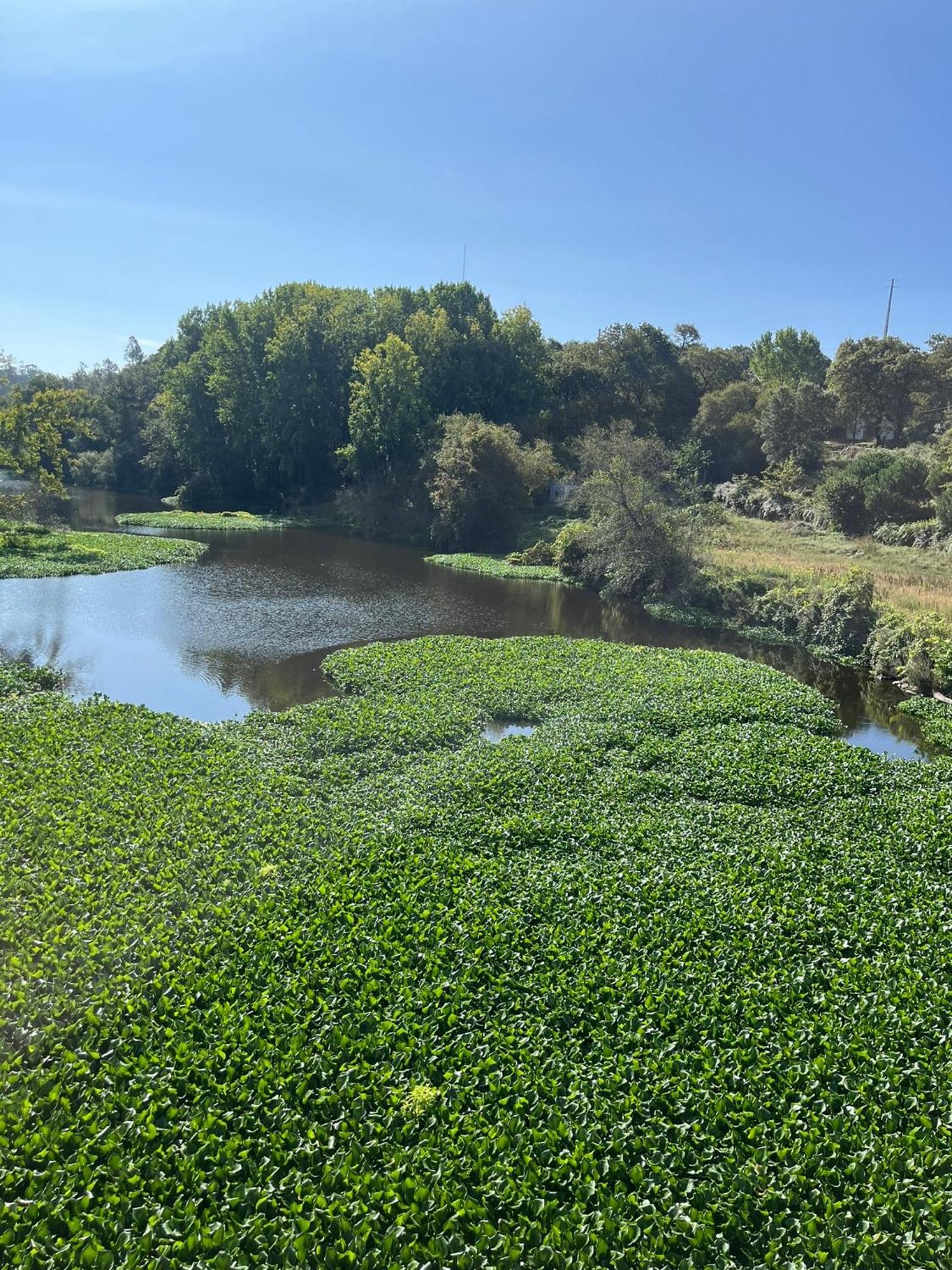 דירות Póvoa de Varzim Mar Azul מראה חיצוני תמונה